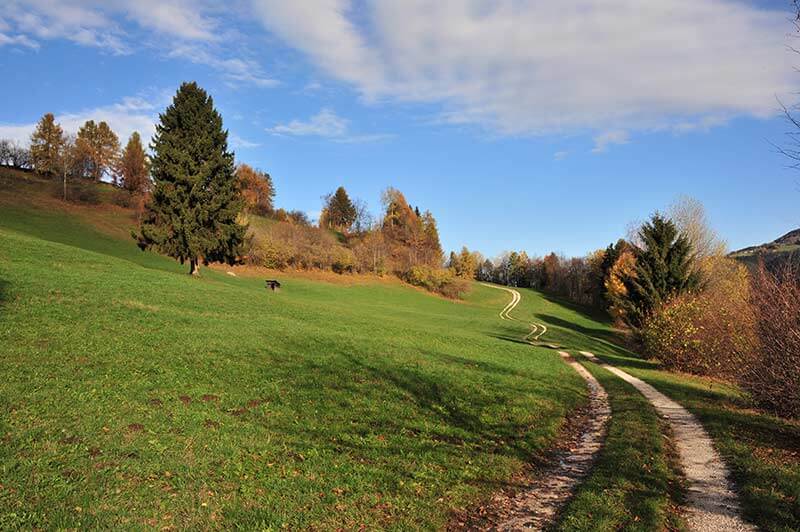 Wanderwege im Naturpark Trudner Horn