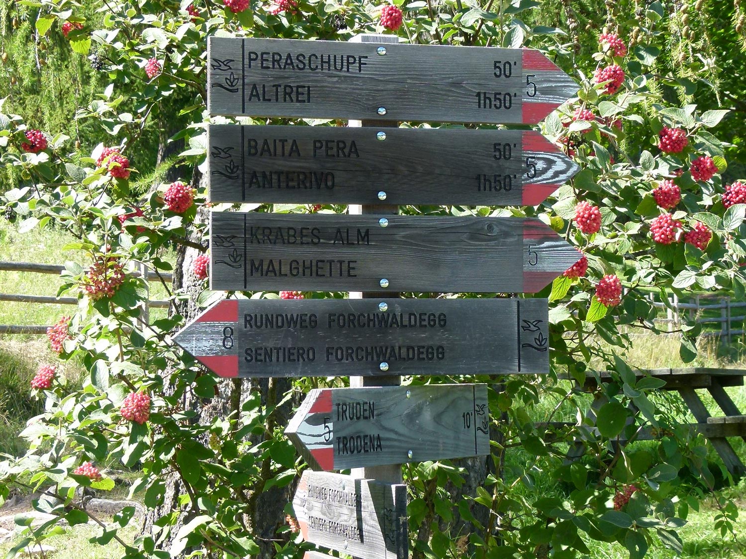 Infos zur Richtung der vielen Wanderwege